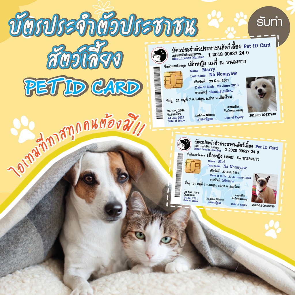 บัตรประชาชนสัตว์เลี้ยง #บัตรประชาชนสัตว์เลี้ยง #บัตรน้องหมาน้องแมว