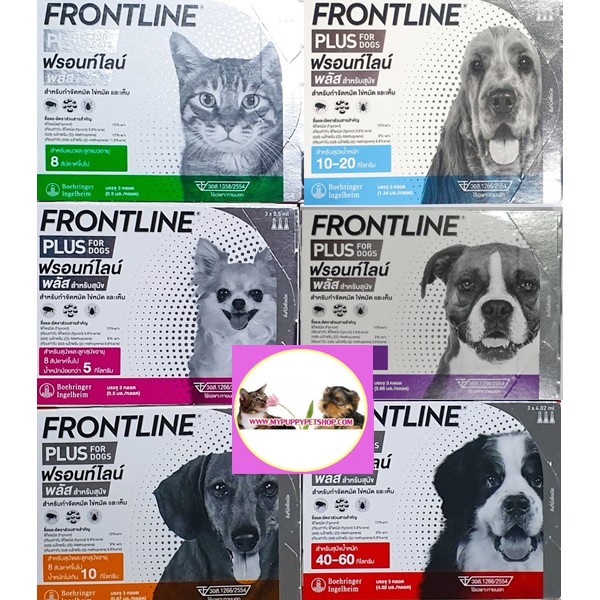 Frontline Plus ยาหยดกําจัดเห็บหมัด สุนัข-แมว ฟร้อนท์ไลน์ พลัส (มีครบทุกรุ่น)