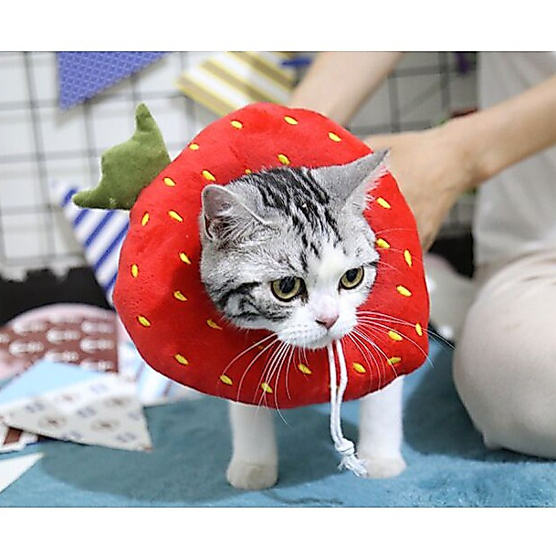 ปลอกคอกันเลีย คอลล่ากันเลีย ปลอกคอแมวน่ารัก รูปผลไม้ สําหรับสุนัขและแมว Fruit Collor