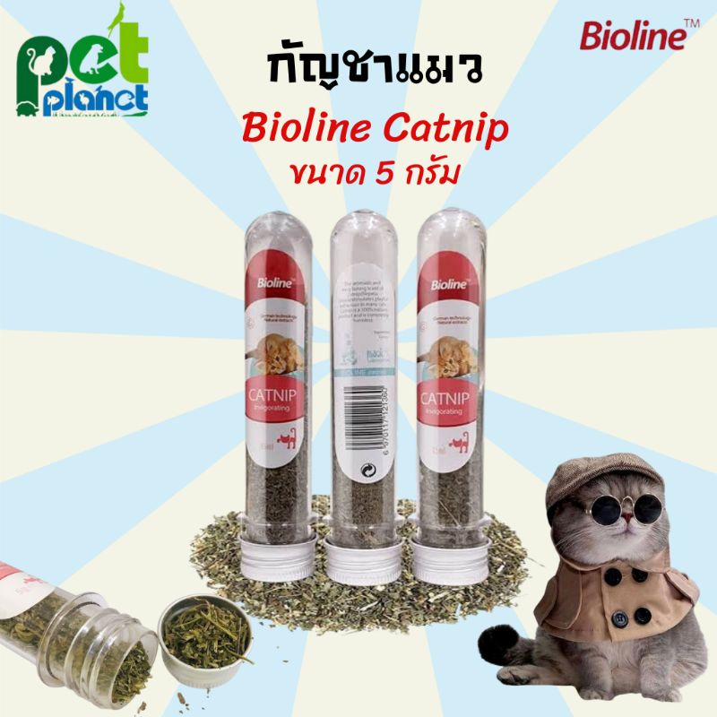 5กรัม] กัญชาแมว bioline Catnip ผงแคทนิป แมวเคลิ้ม Catnip สําหรับ แมว แคทนิป ราคาประหยัด