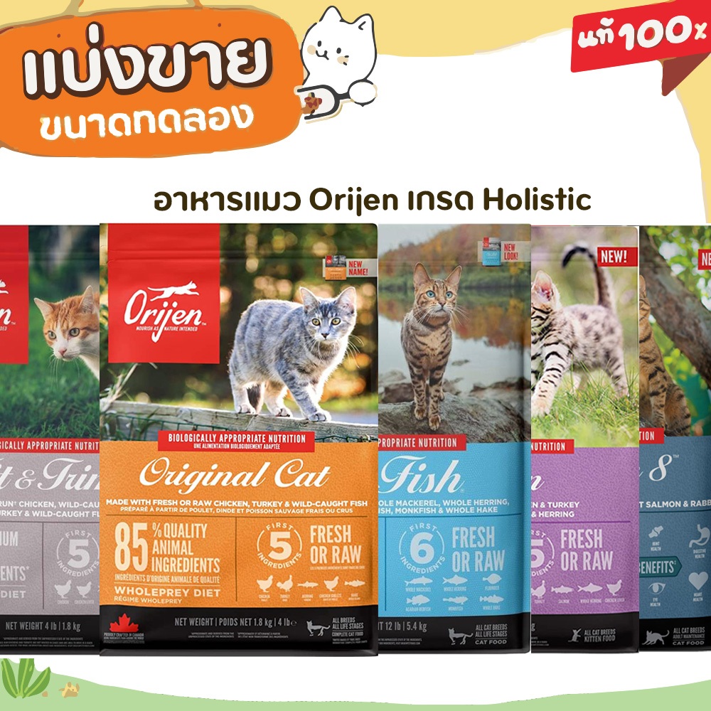 Orijen อาหารแมว เกรดHolistic อุดมด้วยสารอาหารบํารุงกล้ามเนื้อ ผิวหนังและขนให้มีสุขภาพที่ดี
